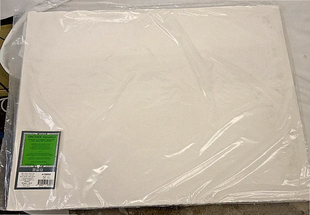 ARCHES AQUARELLE (10 SHEETS) Cold Press Watercolor Papers 22"x30" 300GSM-140LB